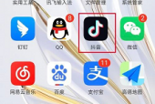 抖音怎么查询抖音月付额度？抖音查询抖音月付额度的步骤