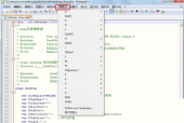 代码编辑器(Notepad++)怎么设置语言格式?代码编辑器(Notepad++)设置语言格式教程